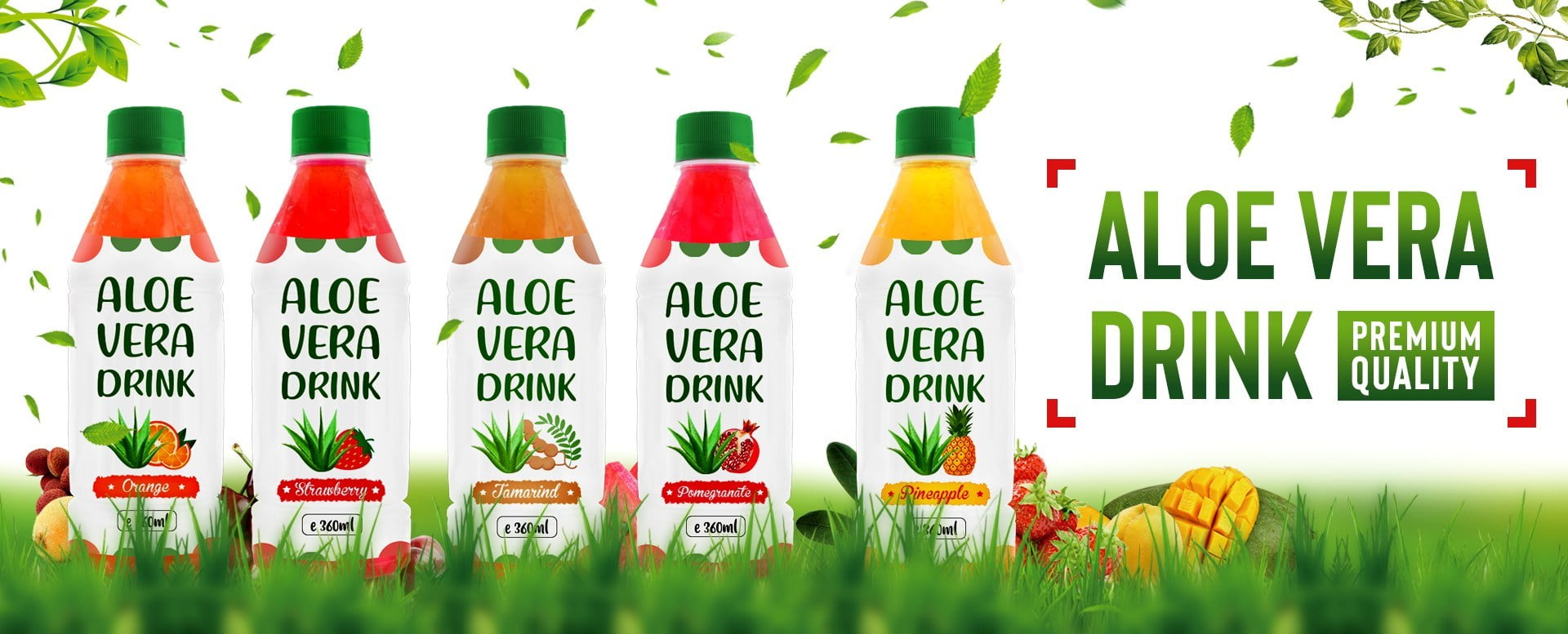 Aloe Vera with Watermelon Flavor