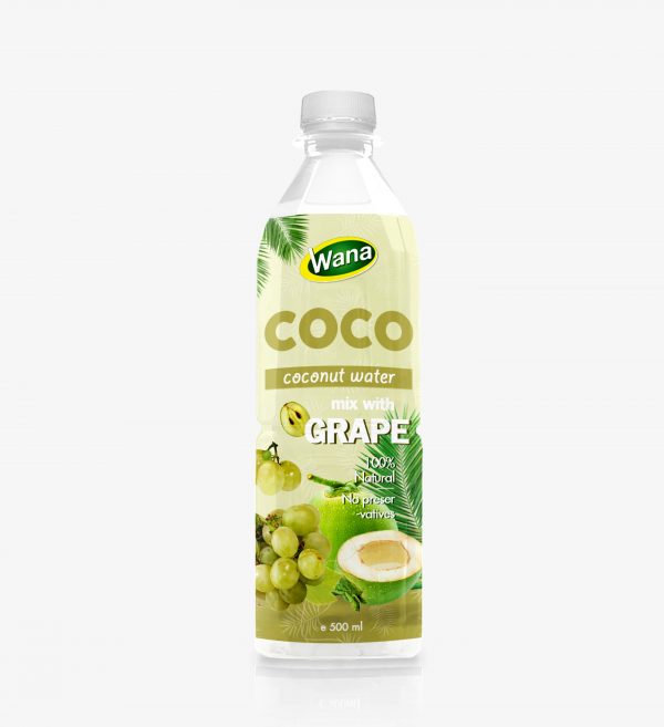 New Edition Original Coconut Water Drink 500mL Pet Bottled