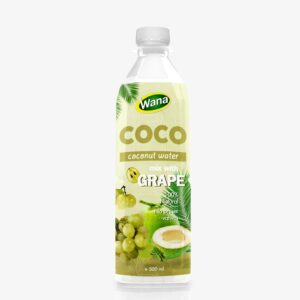 New Edition Original Coconut Water Drink 500mL Pet Bottled