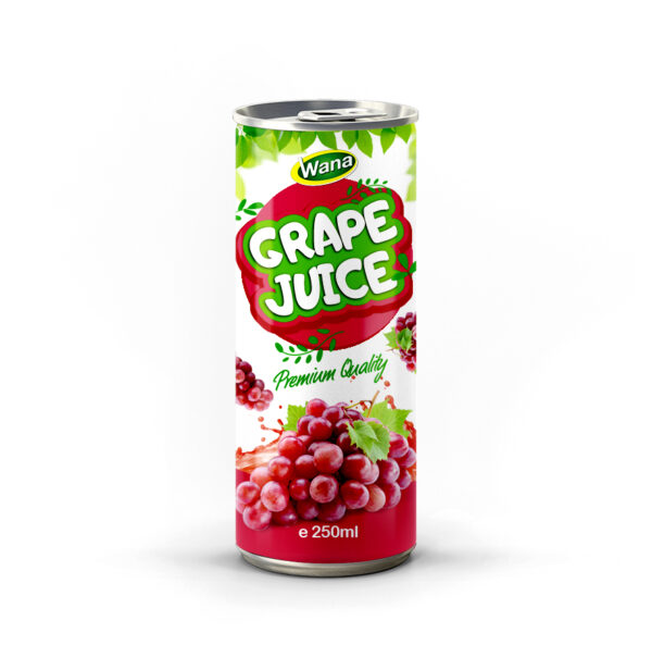 Premium Quality Logan Juice Drink 250mL Premium Quality Logan Juice Drink 250mL