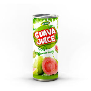 Premium Quality Logan Juice Drink 250mL Premium Quality Logan Juice Drink 250mL