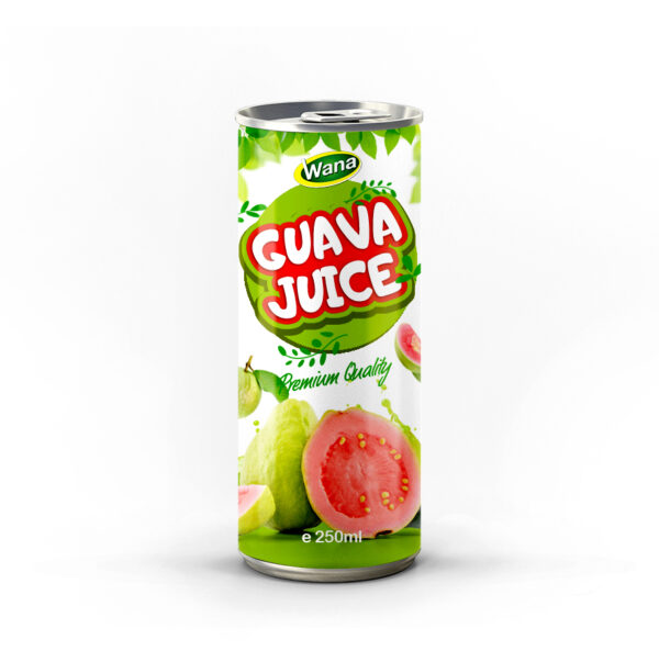 Premium Quality Logan Juice Drink 250mL Premium Quality Logan Juice Drink 250mL