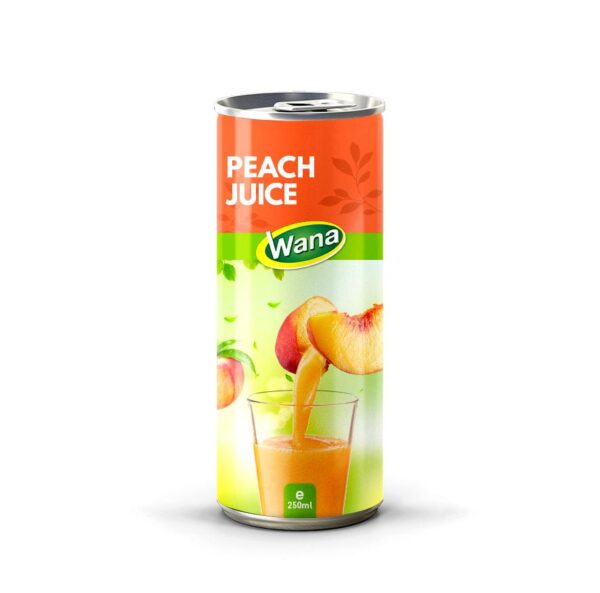 Refreshing Delight: Why Watermelon Fruit Juice Is the Ideal Beverage Choice