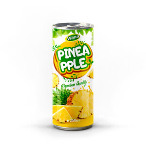 Premium Quality Logan Juice Drink 250mL Premium Quality Logan Juice Drink 250mL