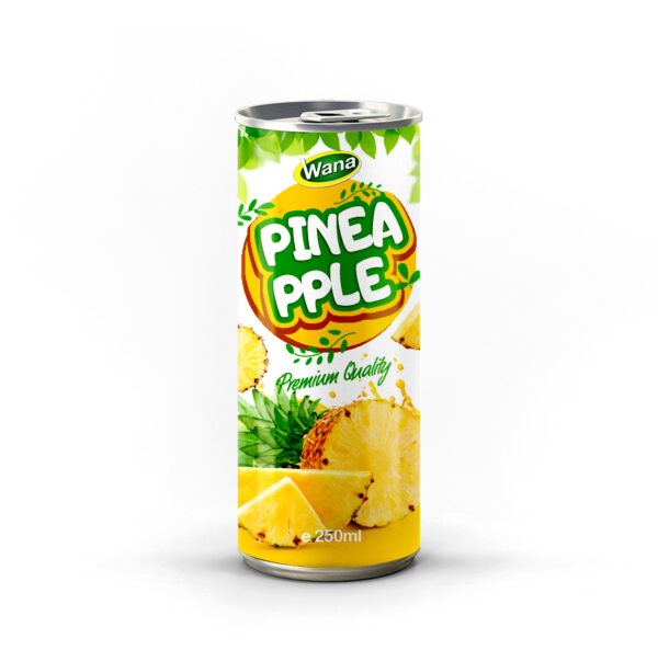 Premium Quality Logan Juice Drink 250mL Premium Quality Logan Juice Drink 250mL