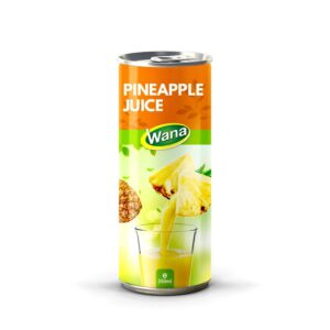 Refreshing Delight: Why Watermelon Fruit Juice Is the Ideal Beverage Choice