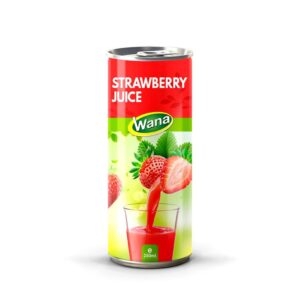 Refreshing Delight: Why Watermelon Fruit Juice Is the Ideal Beverage Choice