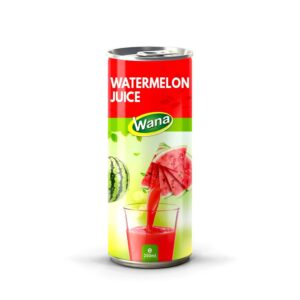 Refreshing Delight: Why Watermelon Fruit Juice Is the Ideal Beverage Choice