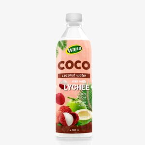 New Edition Original Coconut Water Drink 500mL Pet Bottled