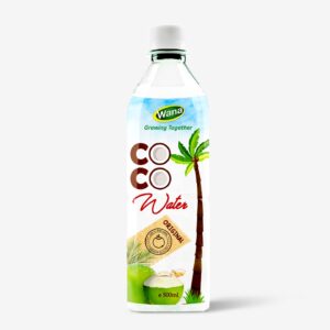 Coconut Water Drink With Lychee Flavor 500mL Pet Bottled