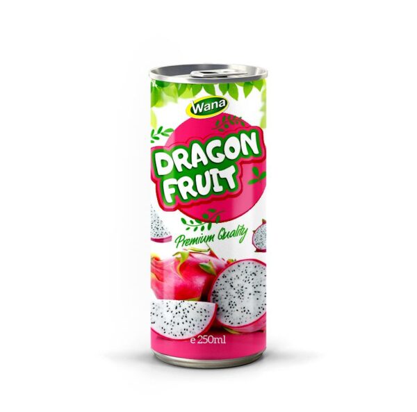Premium Quality Logan Juice Drink 250mL Premium Quality Logan Juice Drink 250mL