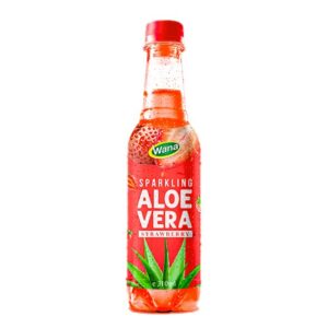 New Arrival Aloe Vera Drink With Tamarind Flavor 310mL Pet Bottled