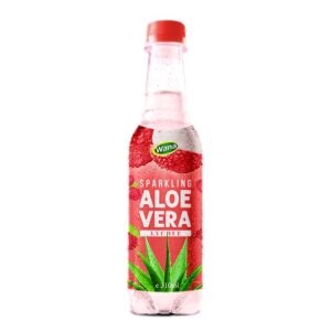 New Arrival Aloe Vera Drink With Tamarind Flavor 310mL Pet Bottled