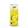 Zero Calories Sparkling Mixed Juice Drink With Passion and Mango Flavor 320mL Canned