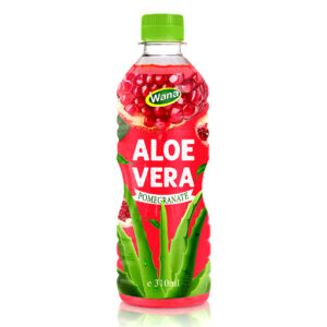 Mango Flavored Aloe Vera Drink in 310ml PET Bottle