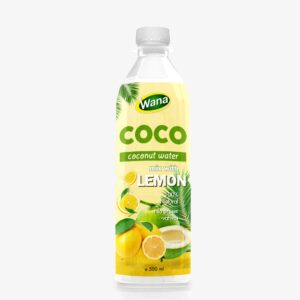 Original Coconut Water with Lychee Flavor in 500ml PET Bottle