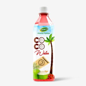 500ml PET Bottle Coconut Water For Daily Drink