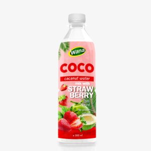 Original Coconut Water with Lychee Flavor in 500ml PET Bottle