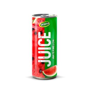 100% Natural Apple Juice Healthy Drink in 250ml canned