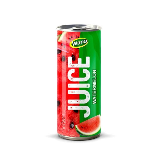 100% Natural Apple Juice Healthy Drink in 250ml canned