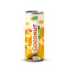 New Edition Coconut Drink with Orange Flavor in 250ml Canned