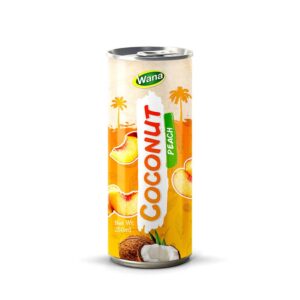New Edition Coconut Drink with Orange Flavor in 250ml Canned