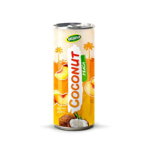 New Edition Coconut Drink with Orange Flavor in 250ml Canned