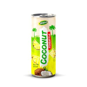 New Edition Coconut Drink with Orange Flavor in 250ml Canned