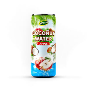 Premium Quality Coco Drinks with Apple Flavor in 500ml Canned