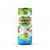 Premium Quality Coco Drinks with Apple Flavor in 500ml Canned Premium Quality Coco Drinks with Apple Flavor in 500ml Canned