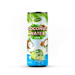 Premium Quality Coco Drinks with Apple Flavor in 500ml Canned