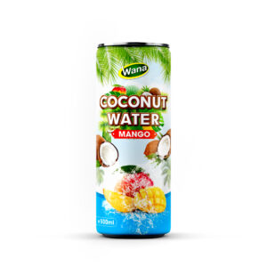 Premium Quality Coco Drinks with Apple Flavor in 500ml Canned