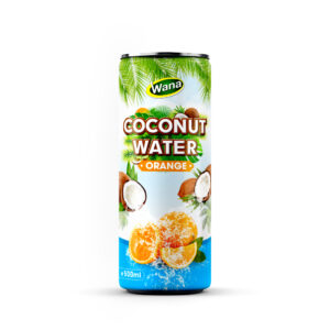 Premium Quality Coco Drinks with Apple Flavor in 500ml Canned