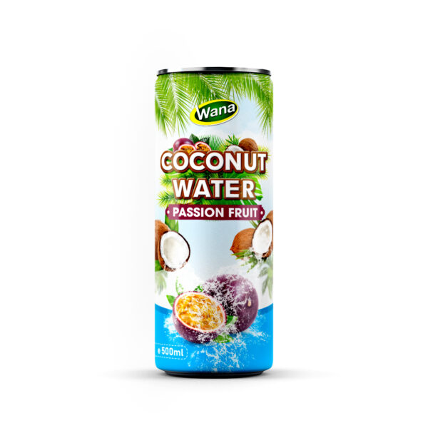 Premium Quality Coco Drinks with Apple Flavor in 500ml Canned