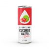 250ml Original Sparkling Coconut Water with Tropical Taste