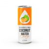 250ml Original Sparkling Coconut Water with Tropical Taste