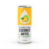 250ml Original Sparkling Coconut Water with Tropical Taste
