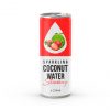 250ml Original Sparkling Coconut Water with Tropical Taste