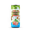 Premium Quality Coco Drinks with Apple Flavor in 500ml Canned
