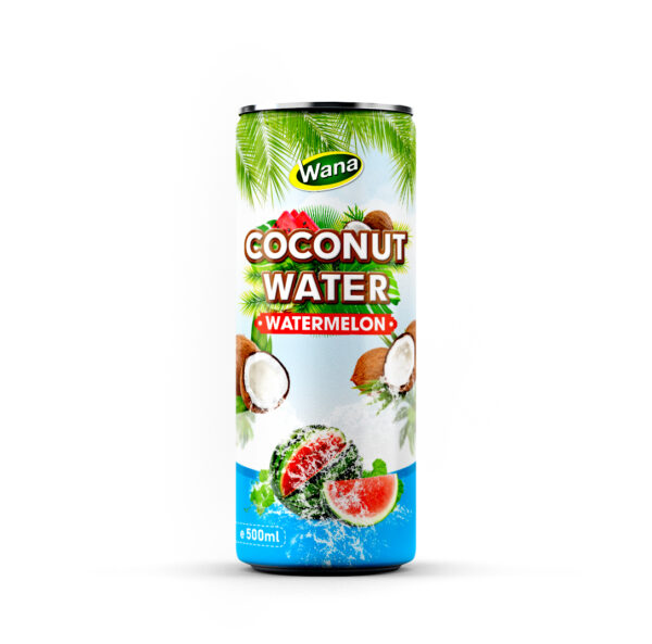 Premium Quality Coco Drinks with Apple Flavor in 500ml Canned