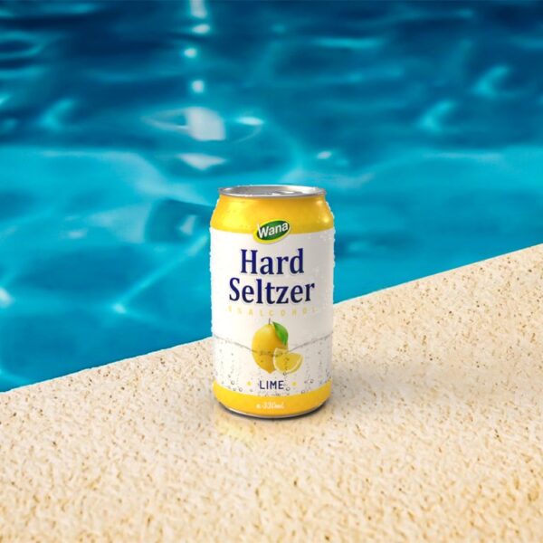 330ml Hard Seltzer Drinks with Ginger Flavor  