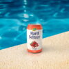 330ml Hard Seltzer Drinks with Ginger Flavor  