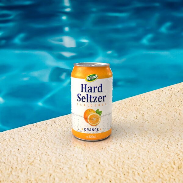 330ml Hard Seltzer Drinks with Ginger Flavor  
