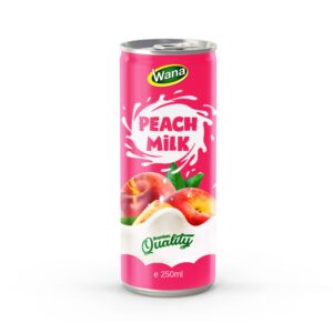 Soursop Flavored Milk Drinks 250ml Canned