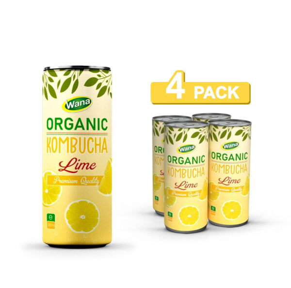 Organic Kombucha Tea Drink with Guava Flavor 320ml
