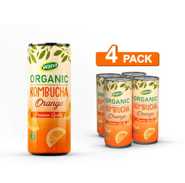 Organic Kombucha Tea Drink with Guava Flavor 320ml