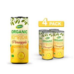 Organic Kombucha Tea Drink with Guava Flavor 320ml