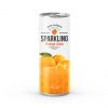 Carbonated Mango Juice Drink in 250ml Canned Carbonated Mango Juice Drink in 250ml Canned