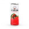 Carbonated Mango Juice Drink in 250ml Canned