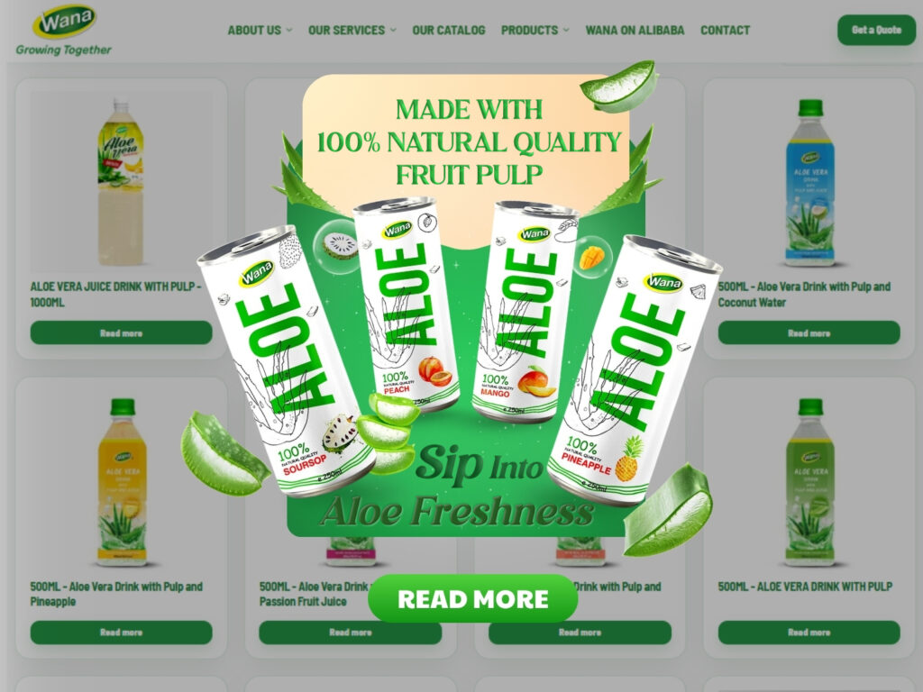 oem-privave-label-aloe-vera-drink-500ml-aluminum-can